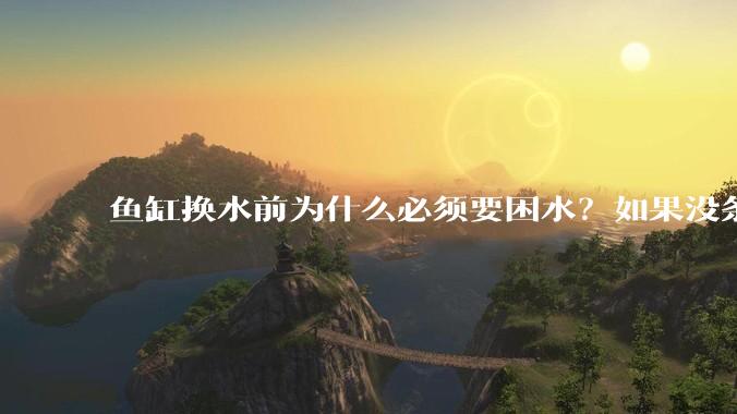 鱼缸换水前为什么必须要困水？如果没条件困水怎么办？