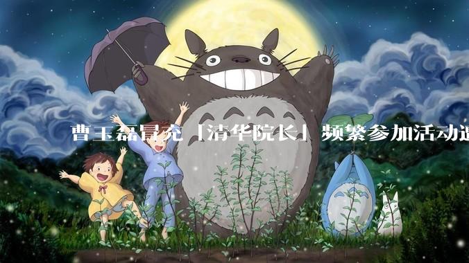 曹玉磊冒充「清华院长」频繁参加活动遭官方打***，他为何能堂而皇之以***身份开展活动？其将受到哪些处罚？