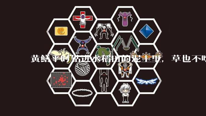 黄鳝平时钻进水稻田的泥土里，草也不吃，它们是吃什么长大的？