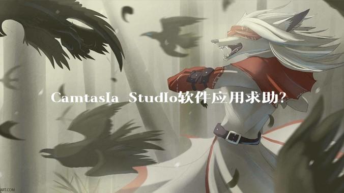 Camtasia Studio软件应用求助？