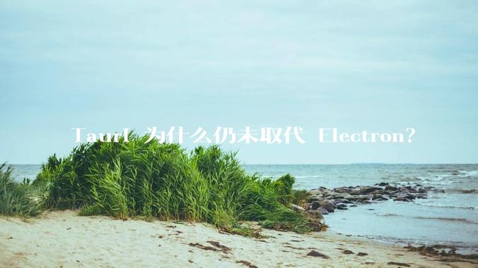 Tauri 为什么仍未取代 Electron？