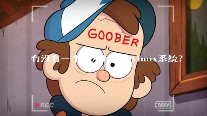 有没有一个特别好用的Linux系统？