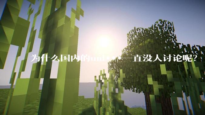 为什么国内的uni***一直没人讨论呢？