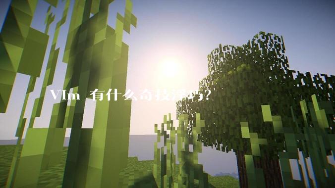 Vim 有什么奇技淫巧？
