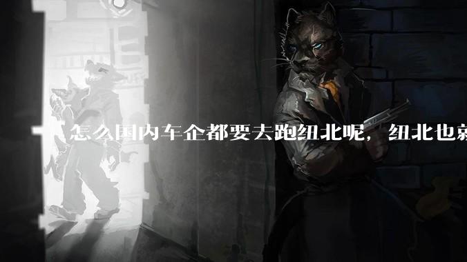 怎么国内车企都要去跑纽北呢，纽北也就是个普通赛道?