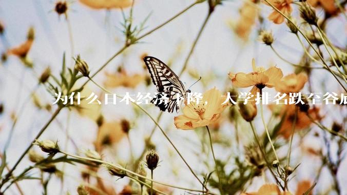 为什么日本经济下降，大学排名跌至谷底，还有那么多人挤破脑袋去日本留学？