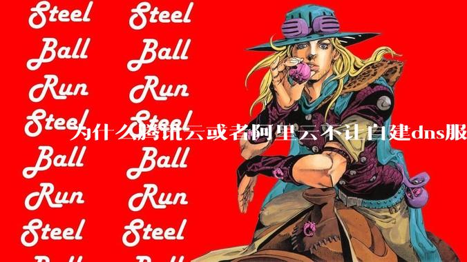 为什么腾讯云或者阿里云不让自建dns服务器?