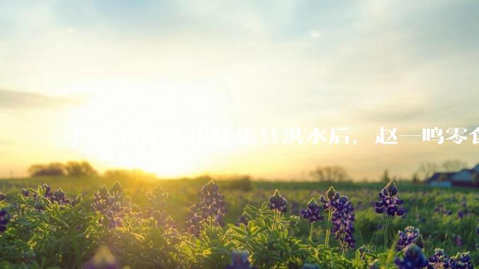 广东省肇庆市怀集县洪水后，赵一鸣零食店被哄抢，物资和收银机里面的几千块钱被哄抢一空，如何评价？