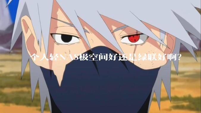 个人轻NAS极空间好还是绿联好啊？