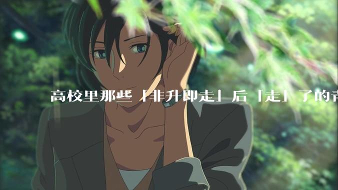 高校里那些「非升即走」后「走」了的青年教师都怎么样了？