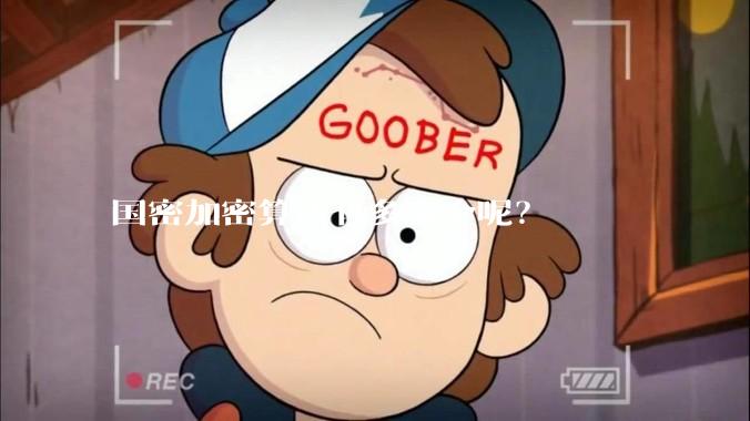 国密加密算法有多安全呢？