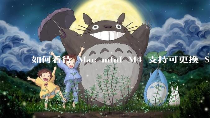 如何看待 Mac mini M4 支持可更换 SSD？
