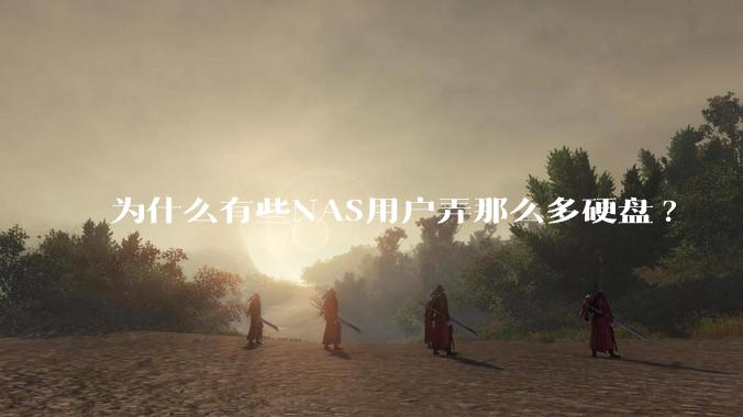 为什么有些NAS用户弄那么多硬盘?
