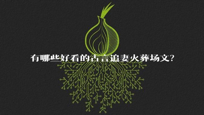 有哪些好看的古言追妻火葬场文？