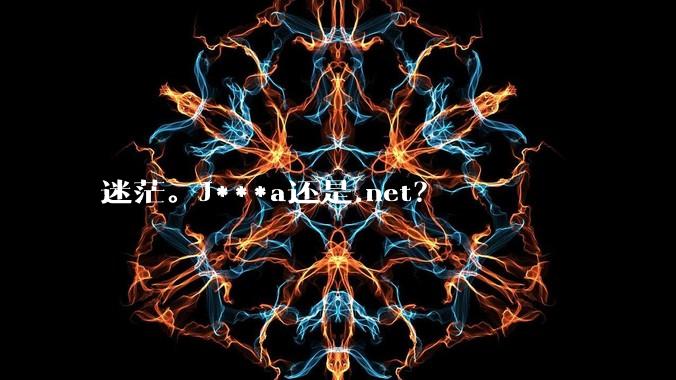 迷茫。J***a还是.net？